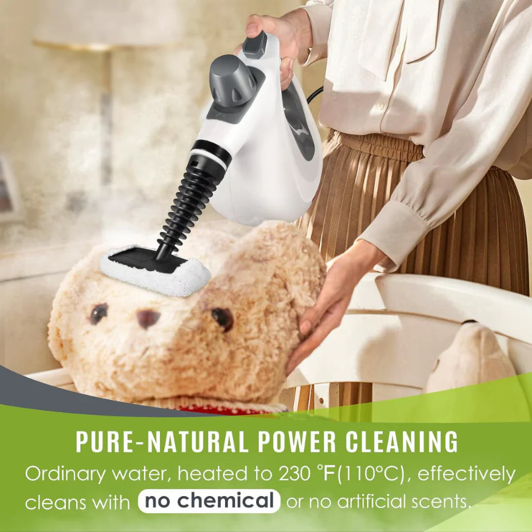 HelperinCleanliness™Steam Cleaner